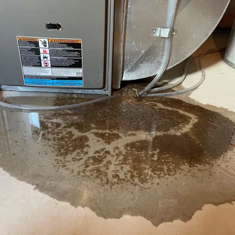 Appliance Leak Cleanup in North Fork Village, OH